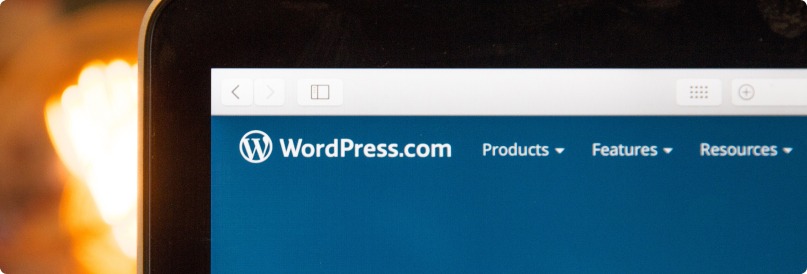 Розробка сайтів на «WordPress»